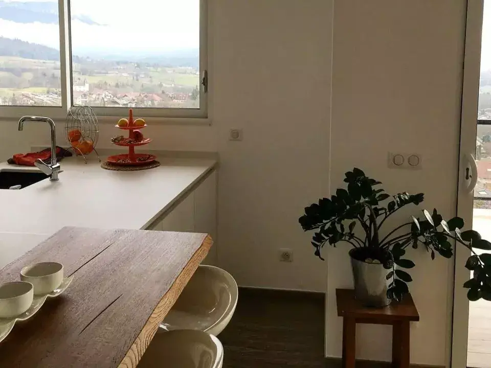 Vue de cote de la cuisine moderne de couleur blanche avec une plante à droite et une corbeille de fruits elegant / design par ViolaDeco, Iana Viola