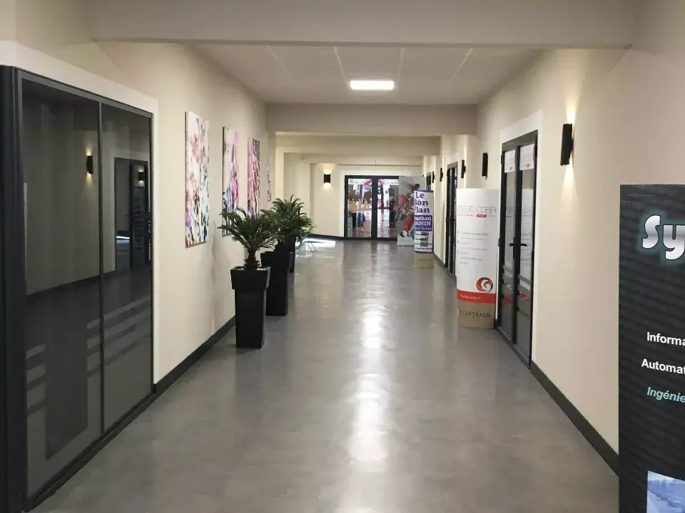 Espace de travail commun a plusieurs bureaux regroupant des plantes et des tableaux dans un style epure avec de grandes portes vitrees / Amenagement par ViolaDeco, Iana Viola
