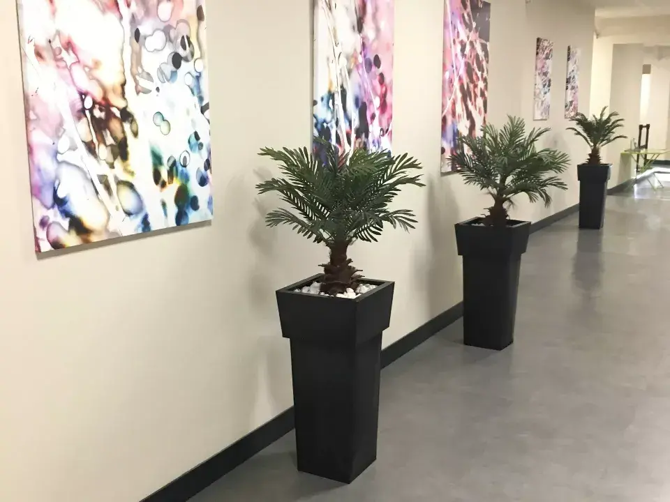 Espace de travail commun a plusieurs bureaux regroupant des plantes et des tableaux / Amenagement design par ViolaDeco, Iana Viola