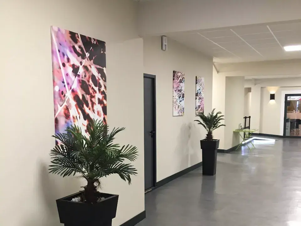 Espace de travail commun a plusieurs bureaux regroupant des plantes, des tableaux et une petite table / Amenagement design par ViolaDeco, Iana Viola